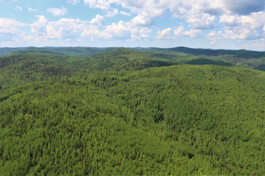 «Красноярский край сделал очень большой шаг вперед»: что такое новая ...