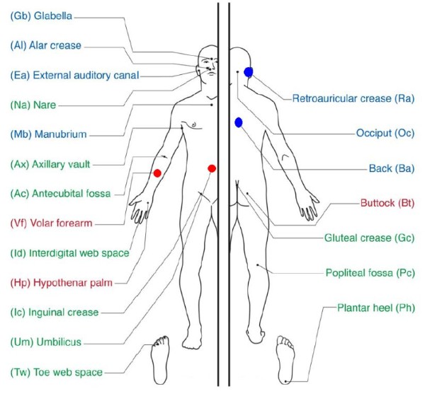 Где живут бактерии