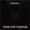 These New Puritans “Hidden”