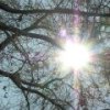 Диагноз: весеннее обострение