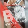 «Разбил головой стекло»: в Красноярском крае медведь напал на машину с людьми