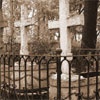 Мэрия Красноярска решила спрятать самое крупное кладбище города
