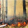 В России горит почти 200 тыс. га леса: 50 человек погибли, более 3,5 тысяч остались без крова
