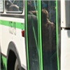 10 июня для дачников пустят дополнительные автобусы, электрички и речные суда
