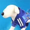 В «Сибири» представят одежду для собак и кошек с символикой сочинской олимпиады 