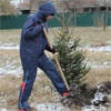 ФК «Енисей» поучаствовал в высадке деревьев в красноярском парке