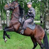 На улицы Абакана выйдет конная полиция