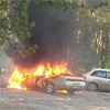 В лесу Октябрьского района Красноярска сгорел автомобиль