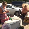 Красноярским садоводам грозит штраф за торговлю ягодами в центре города (видео)