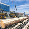 Завтра Красноярск станет мировым центром деревообработки