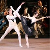 Красноярцы увидят оригинальную версию балета «Лебединое озеро»
