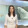 Символ красноярского зоопарка белый медведь Седов переехал в Геленджик (видео)