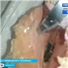 Житель Иркутска пожаловался на мышь в красноярской колбасе (видео)