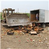 67 коробок польских яблок уничтожили в Красноярске