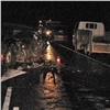 Испугавшийся притормозившего потока водитель устроил смертельное ДТП на трассе в Абакан