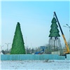 В Советском районе при поддержке РУСАЛа возводят новогоднюю елку