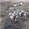 В Красноярске на пустыре нашли 31 бутылку поддельного виски