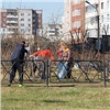 На субботник в районах Красноярска вышли 60 тыс. человек