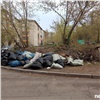Жители ул. Менжинского пожаловались на неделями ждущий вывоза мусор