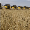 Красноярские аграрии собрали первый миллион тонн зерна