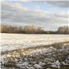 Сентябрьский снег нанес фермерам Красноярского края ущерб в полмиллиарда рублей