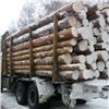 Обманутые рабочие вырубили лес в Красноярском крае