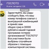 Красноярка пожаловалась на подозрительное сообщение о выигрыше в «Гослото»