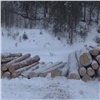 В Красноярском крае мужчина в одиночку срубил деревьев на миллион рублей (видео)
