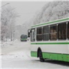 В новогоднюю ночь красноярцев развезут городские автобусы