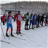Восемь красноярских горняков СУЭК стали призерами всероссийской гонки «Лыжня России»