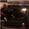 Красноярские студенты швыряли кота в раскаленную духовку и снимали на видео