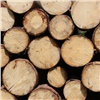 Красноярский край займется продажей древесины на бирже
