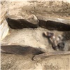 В Туве при раскопках нашли хорошо сохранившуюся мумию