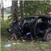 В Шарыповском районе автомобиль с семьей из пяти человек врезался в дерево: двое в реанимации