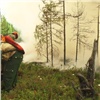 Лесной пожар в заповеднике «Тунгусский» не могут потушить четвертый день (видео)