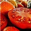 Узбекистан увеличит поставки овощей и фруктов в Красноярский край