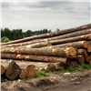 Доходы краевого бюджета от продажи леса увеличились на 18 млн рублей