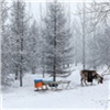 «Тепло и много снега»: синоптики дали прогноз в Красноярске на выходные
