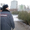 В Красноярске пока не поймали ни одного «ёлочного» браконьера. Полиция просит сообщать о нарушителях