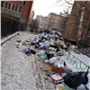 Министр экологии края дал 3 дня на избавление Красноярска от мусора