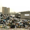 «Рискуем завалиться мусором»: краевые депутаты прокомментировали создание всероссийского оператора по отходам