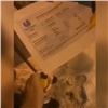 Красноярка демонстративно сожгла «билеты» на Универсиаду. Организаторы заявили, что это подделка (видео)
