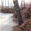 Строители испортили лес в Октябрьском районе Красноярска огромными земляными дамбами
