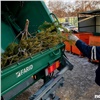 На реализацию «мусорной реформы» в Красноярском крае добавят денег