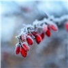 К концу января по Красноярску ударят 30-градусные морозы. До этого времени горожане будут страдать от ветра