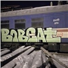 В Красноярске два граффитиста-гастролёра испортили железнодорожные вагоны (видео)