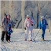 Красноярцев позвали на городской праздник «День снега на лыжах»