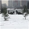 Улицу Копылова возле Николаевского проспекта «озеленили» срубленными ёлками (видео)