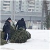 Самое интересное в Красноярске за 15 февраля: парк мёртвых елей и загадочный «ибирь»