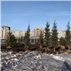 Рядом с мертвыми ёлками на Копылова посадили 200 живых деревьев